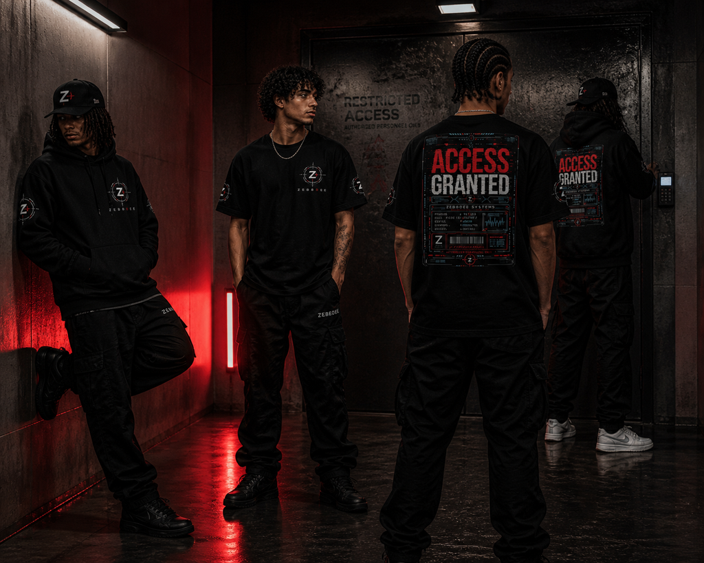 ACCESS GRANTED Box Tee
